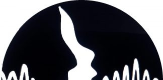 EL ÁREA DE GÉNERO, DISCAPACIDAD Y DERECHOS HUMANOS COLEGIO DE FONOAUDIÓLOGOS 1 CIRCUNSCRIPCIÓN.