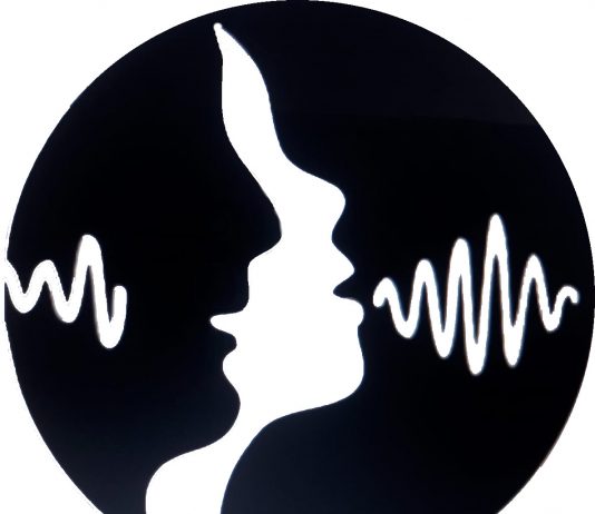 EL ÁREA DE GÉNERO, DISCAPACIDAD Y DERECHOS HUMANOS COLEGIO DE FONOAUDIÓLOGOS 1 CIRCUNSCRIPCIÓN.